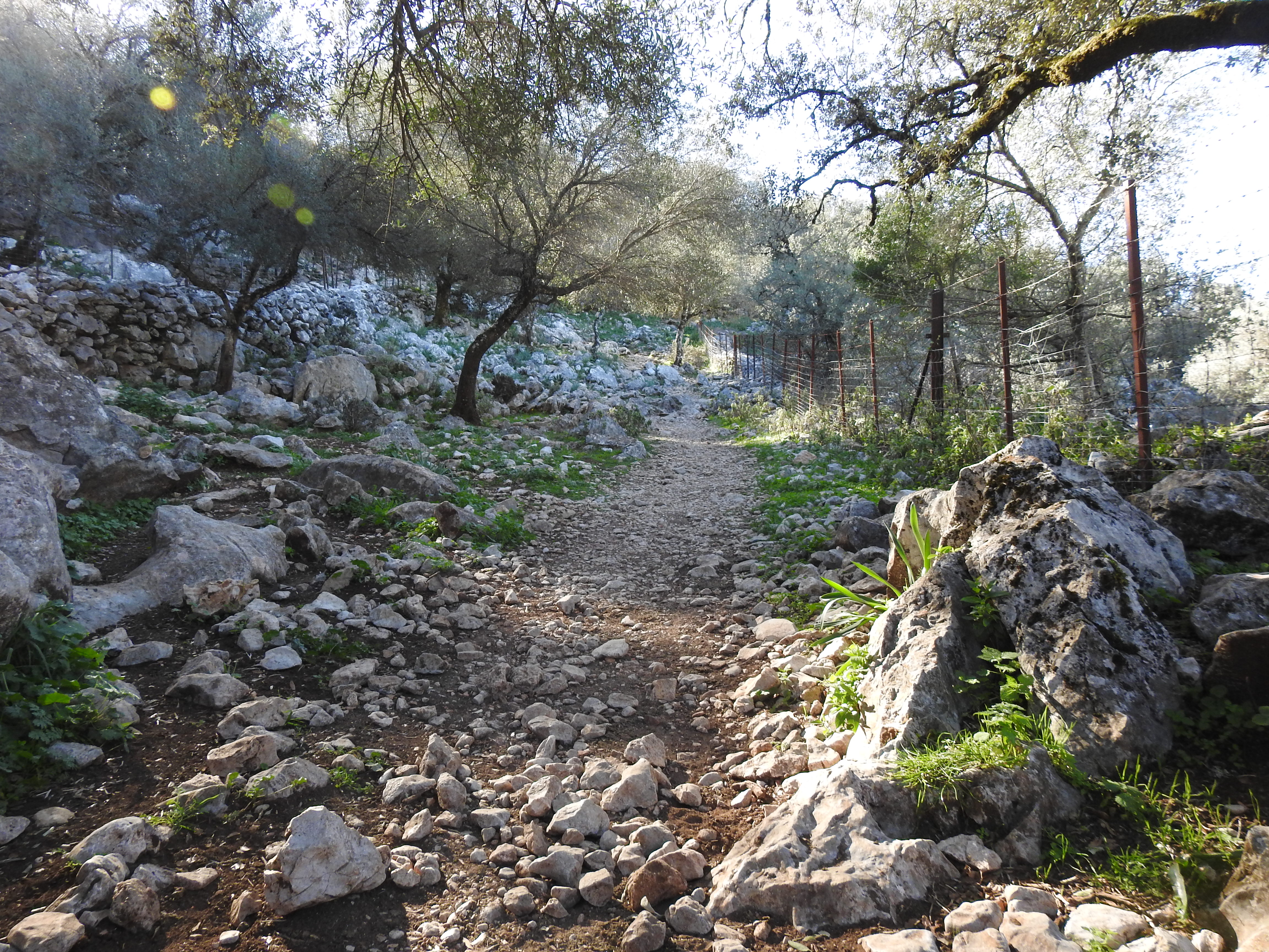 SALTO DEL CABRERO